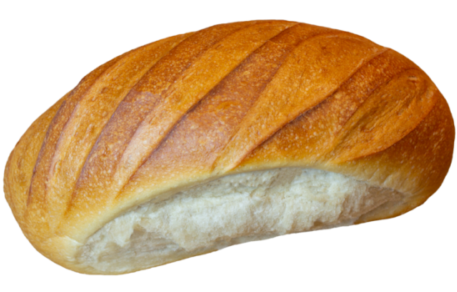 Stuten Lorenz Bäcker Victorbur